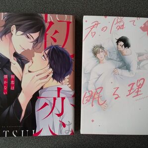 2冊セット 篠崎マイ 初恋は懐かない&秋雨るい 君の隣で眠る理由