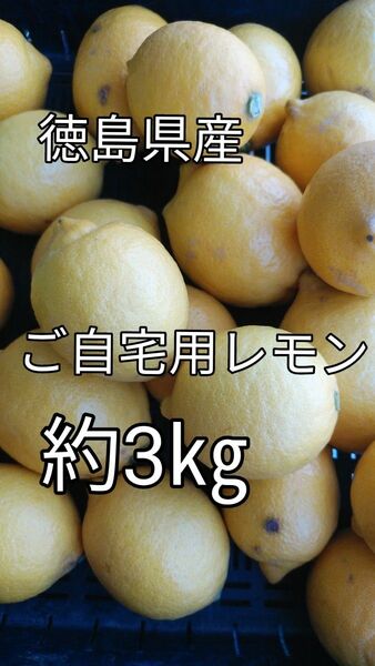 農家直送:ご自宅用レモン約3㎏