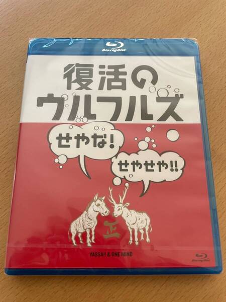 M 匿名配送 Blu-ray 復活のウルフルズ せやな!せやせや!! ヤッサ!!&ONE MIND ブルーレイ 4943674199709