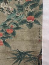 真作 中国書画「宋 黄居寀 花鳥図」肉筆絹本 掛け軸 書画立軸 巻き物 古美術 旧蔵出_画像10