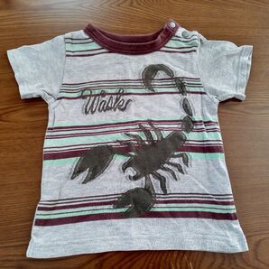 WASK 半袖Tシャツ 90