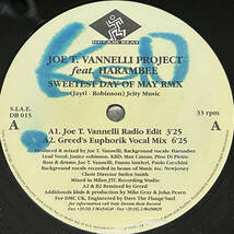 試聴 名曲 Joe T. Vannelli Project Feat. Harambee Sweetest Day Of May RMX GREED REMIX_画像1