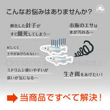 新商品【青水　グリーンウォーター増量中　3000ml】メダカ　めだか　金魚　熱帯魚　ミジンコ培養　ゾウリムシ　ミドリムシ 針子にどうぞ_画像2