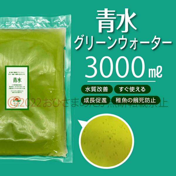 特濃縮【青水　グリーンウォーター増量中　3000ml】メダカ　めだか　金魚　熱帯魚　ミジンコ　ゾウリムシ　針子にどうぞ　スポイト付き