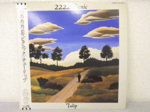 LP レコード 帯 チューリップ 2222年ピクニック 【E+】 E3287H