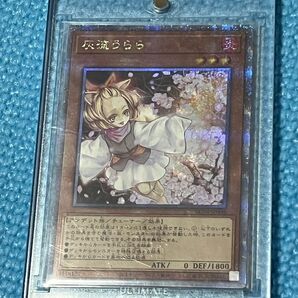 遊戯王 灰流うらら 25thシークレット クォーターセンチュリーシークレットレア レアコレ レアリティコレクション