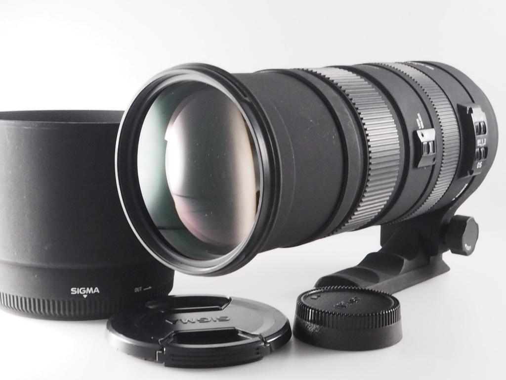 2025年最新】Yahoo!オークション -sigma 150-500 ニコンの中古品 2025年最新】Yahoo!オークション -sigma 150-500 ニコンの中古品
