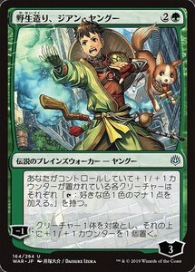 MTG ■緑/日本語版■ 《野生造り、ジアン・ヤングー/Jiang Yanggu, Wildcrafter》▲絵違い▲ 灯争大戦 WAR