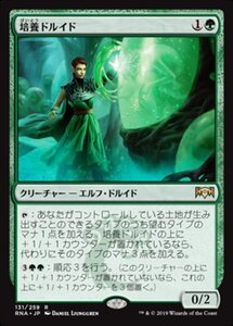 MTG ■緑/日本語版■ 《培養ドルイド/Incubation Druid》ラヴニカの献身 RNA