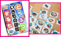 【送料無料:選べる:かるた/カルタ:2点・2個】★恐竜・昆虫・百人一首 ・海の生き物★解説書付:解説あり:知育玩具:脳を活性化_画像5