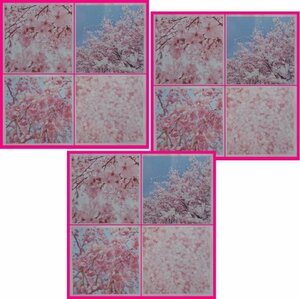 【送料無料：おりがみ：桜：144枚】★素材の綺麗な可愛い「さくら」：おりがみ・ 折紙：48枚x3（12枚ｘ4柄x3セット）：15x15cm：サクラ