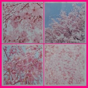 【送料無料：おりがみ：桜：48枚】★素材の綺麗な可愛い「さくら」：おりがみ・ 折紙：48枚（12枚ｘ4柄）：15x15cm：サクラ