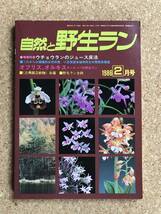 自然と野生ラン 1986年2月号　ウチョウラン　エビネ　アツモリソウ　シュンラン　※ 園芸JAPAN_画像1