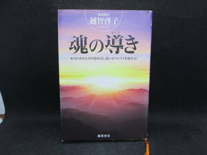 魂の導き　本当のあなたが目覚めると、思いがスイスイ実現する！　越智啓子 著　徳間書店　F7.230327