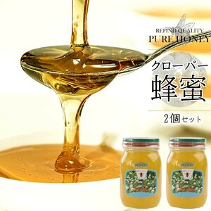  clover bee molasses 600g×2 piece set vanity case entering Hokkaido production [ clover honey, white tab gsa bee mitsu white . flower .][ mail service correspondence ]