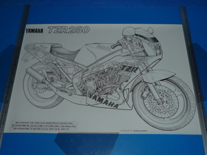 ◆TZR　250【イラストポスター】W-　送料無料当時物新品