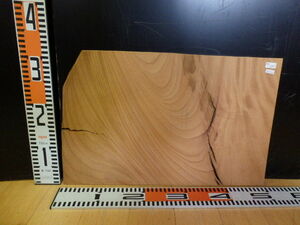e3032225 欅●約31.7cm×49.7cm×1.3cm☆無垢板１枚板 木材 板 DIY 板材 天板 棚板 テーブル 看板 花台など種類豊富！