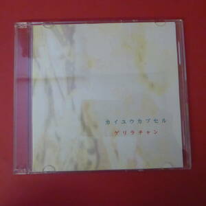 CD1-230307☆カイユウカプセル ゲリラチャン CD