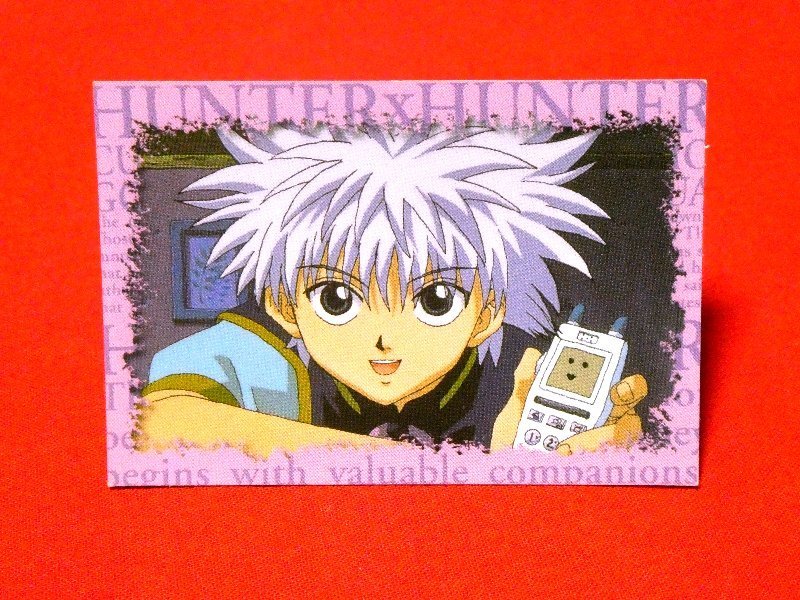 ブランドの通販・買取』 HUNTER×HUNTER セルビデオ購入特典 非売品