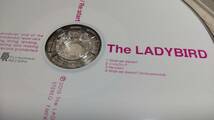 Y1753 『CD』　The LADYBIRD　/　1stシングル　　DVD付き　　Shall we dance?　/　Re:start　　帯付_画像3