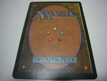 マジック MAGIC トレーディングカード 平地_画像2