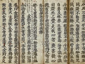 K0695-14 聖無動尊秘密陀羅尼経 江戸時代 古版経 木版 紙本 断簡 古文書 古写経 護符