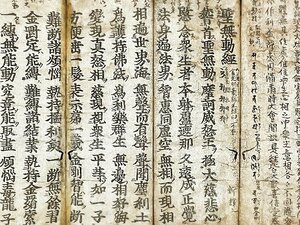 K0695-6 聖無動尊秘密陀羅尼経 江戸時代 古版経 木版 紙本 断簡 古文書 古写経 護符