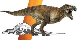 PNSO 恐竜博物館 1/35 サイズ ティラノサウルス T-REX 恐竜 リアル フィギュア おもちゃ 模型 恐竜好き 誕生日 プレゼント オリジナル
