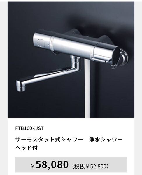 送料込み KVK FTB100KJST サーモスタット式シャワー 浄水シャワーヘッド付