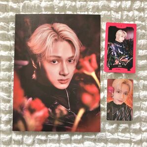 seventeen 2023 season’s greetings シーグリ ジュン トレカ ポストカード