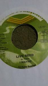 穏やかReggae Music Life Seed Single 2枚Set #2 from Loyal Soldiers I Wayne Sizzla 