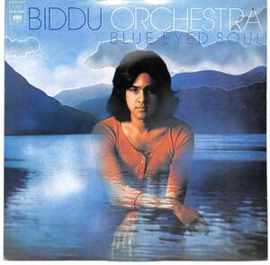 d2774/LP/カナダ盤/Biddu Orchestra/Blue-Eyed Soul