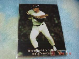  Calbee '77 year Professional Baseball card [ aim .!pe naan to. taking ]NO.115(.book@|. person ) blue version 