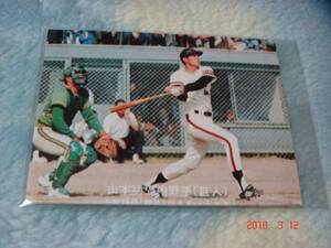 カルビー '77年 プロ野球カード 『目指せ！ペナント奪取』NO.145(山本／巨人) 青版