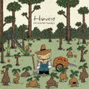 Harvest（通常盤） 04 Limited Sazabys