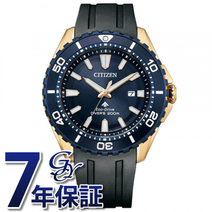 シチズン CITIZEN プロマスター マリン BN0196-01L ブルー文字盤 新品 腕時計 メンズ