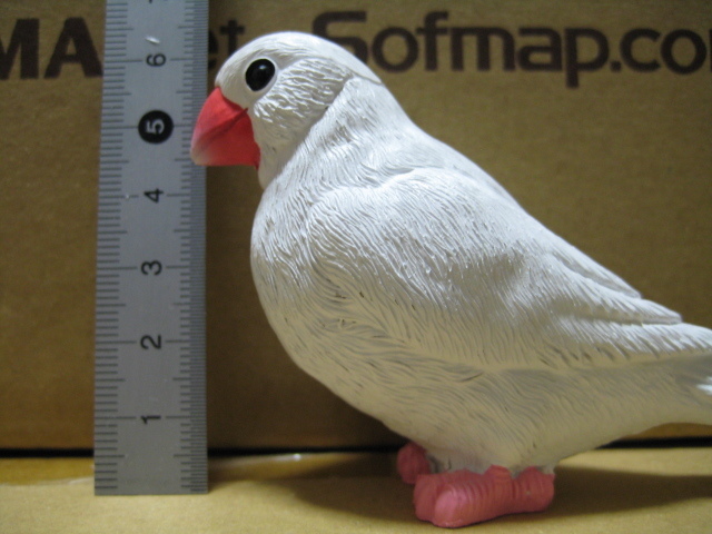 ヤフオク! -文鳥の中古品・新品・未使用品一覧