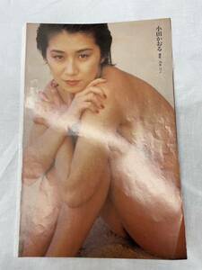 雑誌 切り抜き　小田かおる　イブ　東野真美　豊田真子　宝生桜子　稲葉由香　かとうれいこ　切抜きです。