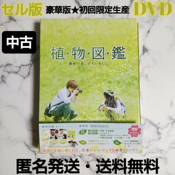 セル版★岩田剛典★『植物図鑑 運命の恋、ひろいました』豪華版★初回限定生産★DVD★中古