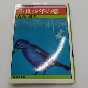 富島健夫『不良少年の恋』集英社文庫コバルトシリーズ