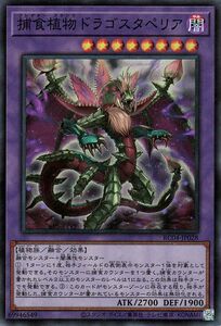 遊戯王 捕食植物ドラゴスタペリア(スーパーレア) レアコレ 2023 （RC04） プレデター プランツ 融合・効果モンスター 植物族