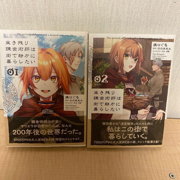 生き残り錬金術師は街で静かに暮らしたい 1・2