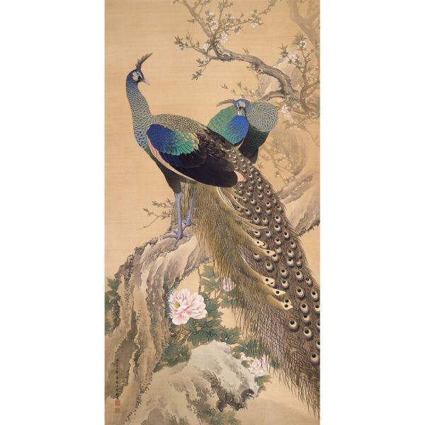 [Full size version] Keitoshi Imao, Spring Garden, Peacock, 1901, Flower and Bird Painting, Beautiful Dark Background, Wallpaper Poster, 305mm x 603mm, Peelable Sticker 001S2, painting, Japanese painting, flowers and birds, birds and beasts