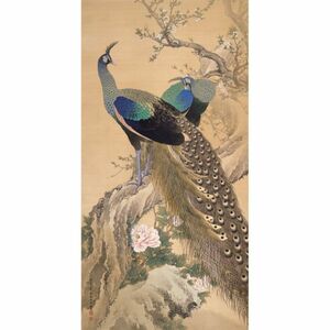 Art hand Auction [Version pleine grandeur] Keitoshi Imao, Jardin de printemps, Paon, 1901, Peinture de fleurs et d'oiseaux, Beau fond sombre, Papier peint affiche, Très grande édition, 576 mm x 1 137 mm, Autocollant pelable 001S1, peinture, Peinture japonaise, fleurs et oiseaux, oiseaux et bêtes