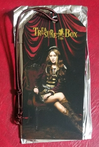 T-ARA キュリ 2013 JAPAN TOUR TREASURE BOX ラゲージタグ Qri ver. 即決 未使用 ティアラ ツアー グッズ