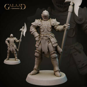 Galaad Miniatures Gaa-230209 SpearKnight02 3Dプリント D＆D メタルミニチュア メタルフィギュア TRPG フロストグレイブ