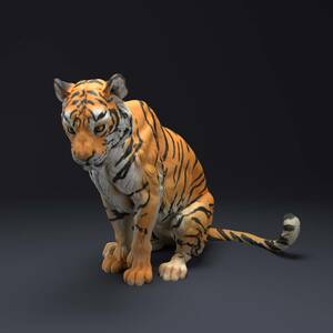 Animal Den Anml-220805 Bengal Tiger Sit 3Dプリント ミニチュア D＆D TRPG アニマルフィギュア