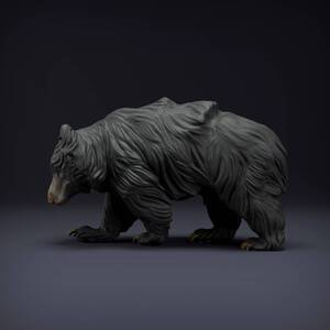 Animal Den Anml-220811 Sloth Bear 3Dプリント ミニチュア D＆D TRPG アニマルフィギュア