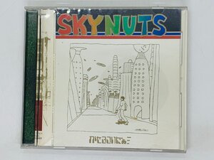 即決CD SKYNUTS かせきさいだあ / 悲しみの観察日記 ポップアート / アルバム かせきさいだぁ S06