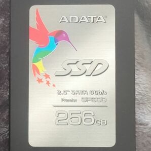 ADATA SSD SP600 256GB